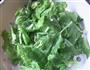 芹菜叶拌洋葱的做法图解1