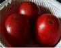 鸡蛋西红柿的做法图解1