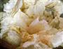 珊瑚白菜的做法图解2