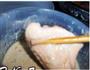 香酥鸡翅的做法图解8