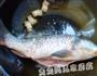 侉炖鱼的做法图解4