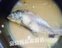 侉炖鱼的做法图解9