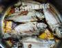 糟香豆瓣鲫鱼的做法图解7