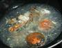 一品蟹汤的做法图解3