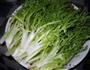 素拌苦苣的做法图解1