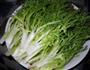 素拌苦苣的做法图解3