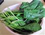 鱼香菠菜的做法图解1