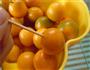盐渍金桔的做法图解4