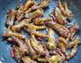 虎皮凤爪的做法图解11