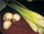 西芹枸杞炒百合的做法图解1