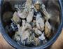 蚝豉菜干粥的做法图解1