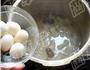 银耳炖鹌鹑蛋的做法图解7