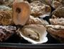 烤牡蛎的做法图解6