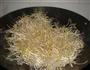 鸭杂绿豆芽的做法图解6