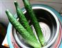黄瓜炒虾仁的做法图解1