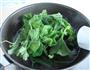 上汤南瓜苗的做法步骤5