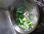 水米粉的做法图解8