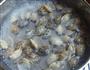 酱爆花蛤的做法图解4