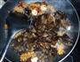 黑木耳炒鱿鱼的做法图解5