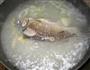 鲫鱼汤的做法图解5