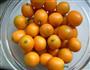 糖渍金桔的做法图解1