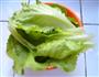 培根生菜卷的做法图解2
