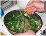 菠菜拌粉条的做法图解10