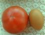 西红柿炒蛋的做法图解1