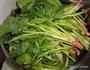凉拌菠菜的做法图解1
