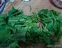 凉拌菠菜的做法图解2
