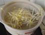 鲫鱼豆芽汤的做法图解6