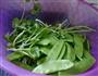鲜鱿炒荷兰豆的做法图解2