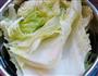 醋溜手撕白菜的做法图解1