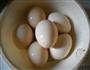 地菜花煮鸡蛋的做法步骤2