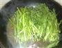 茼蒿炖粉条的做法图解4