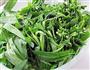 辣炒空心菜的做法步骤1