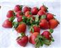 巧克力草莓的做法图解1