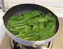 凉拌菠菜粉丝的做法图解1