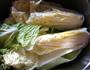 白菜泡菜的做法图解2
