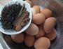 五香茶叶蛋的做法图解1