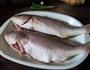 生煎黄花鱼的做法图解1