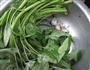 蒜香空心菜的做法图解1