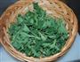 荨麻嫩芽汤的做法图解1