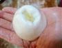 莲蓉麻团的做法图解8