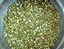 生绿豆芽的做法图解4