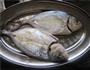 黄豆酱煎海鱼的做法图解1