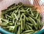 黄金四季豆的做法图解1