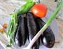 肉末茄子的做法图解1