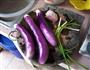 肉末茄子的做法图解1