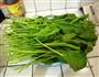菠菜卷的做法图解1